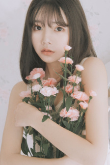 玉蒲扇之风花雪月